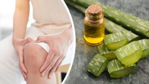 Les 10 meilleures huiles essentielles pour combattre l’arthrite et les douleurs musculaires