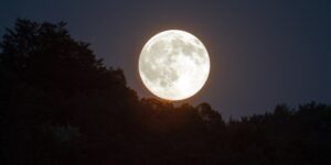Calendrier lunaire Janvier 20201 pour le jardinage