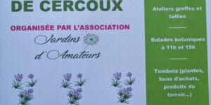 Foire aux plantes de Cercoux (17) - 2021 - Cercoux