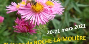 Le Printemps des Plantes à Roche-la-Molière (42) - 2021 - ROCHE-LA-MOLIERE