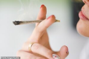 Des chercheurs de l'Université du Queensland, en Australie, ont comparé des personnes qui ont commencé à consommer régulièrement de la marijuana à l'adolescence et à l'âge adulte à des non-utilisateurs (image de fichier)