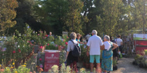 Hortus Botanicus à Caumont sur Durance (84) - 2021 - Caumont sur Durance