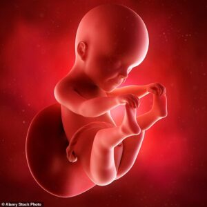 Des médecins de l'Association médicale catholique (CMA) ont traité 90 femmes en Grande-Bretagne avec sa `` thérapie de sauvetage de l'avortement '' au cours de l'année écoulée et disent que près de 50% ont maintenu leur grossesse (photo d'archive)