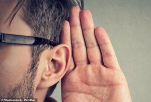 La plupart des pertes auditives induites par le bruit (NIHL) sont causées par des lésions et la mort des cellules ciliées de l'oreille interne.