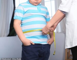 Une mutation dans le soi-disant `` gène de la graisse '' a été découverte, ce qui oblige les enfants à accumuler 37 livres (16,7 kg) supplémentaires au moment où ils atteignent 18 ans (image en stock)