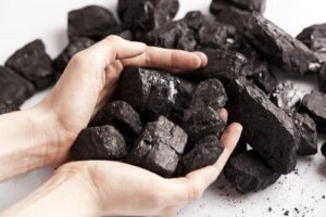 7 utilisations fascinantes du charbon de bois