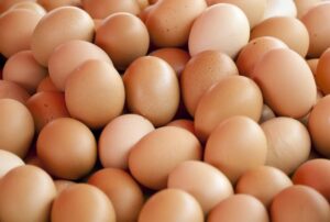Les nombreux bienfaits des œufs