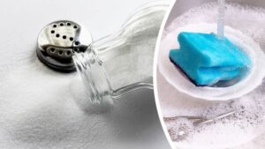 18 façons surprenantes de nettoyer sa maison avec du sel