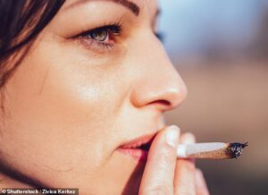 Fumer du cannabis double presque le risque de crise cardiaque chez les jeunes adultes, selon une étude (stock)