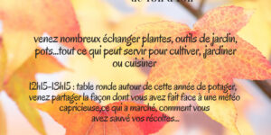 Troc aux plantes d'automne de Val D’Anast (35) - 2021 - VAL D'ANAST