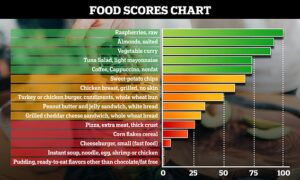 Une sélection d'aliments et de boissons et leur score dans le cadre du système de profilage des éléments nutritifs Food Compass