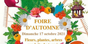 5ème grande foire d'automne de Fronton (31) - 2021 - FRONTON