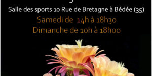 Salon des Plantes Exotiques à Bédée (35) - 2022 - Bédée