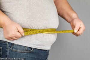 Trois adultes sur cinq en Angleterre sont en surpoids.  Plus d'un sur quatre est obèse, ce qui les expose à un risque accru de cancer, de maladie cardiaque et de diabète de type 2 (photo d'archive utilisée)