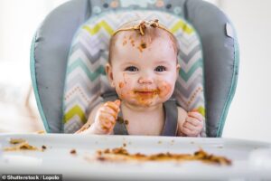 Une enquête sur les aliments pour bébés vendus au Royaume-Uni a révélé un certain nombre de tendances préoccupantes sur la façon dont ils sont promus, ce qui a amené les auteurs à dire que les nouveaux parents sont confrontés à un libre pour tous.