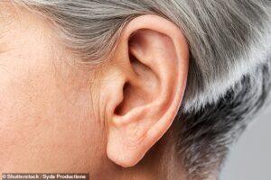 La plupart des acouphènes sont liés à une perte auditive liée à l'âge et à des dommages aux cellules nerveuses qui aident à transmettre les messages aux parties du cerveau qui traitent le bruit