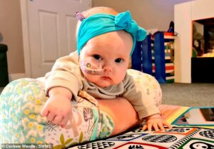 Molly Mai Wardle-Hampton (photo) est née le 7 novembre, en bonne santé et pesant 7 livres, mais a commencé à souffrir de convulsions dès l'âge de trois semaines