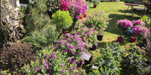 Fête des Jardins de printemps à la Turballe (44) - 2022 - LA TURBALLE