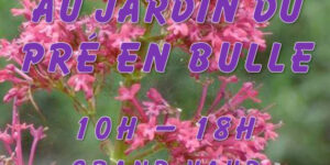 Pépiniéristes et artisans locaux au jardin du Pré en Bulle (87) - 2022 - JABREILLES LES BORDES