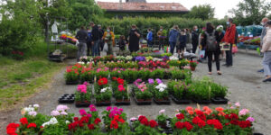 25ème marché aux fleurs de Montbrun-Lauragais (31) - 2022 - MONTBRUN-LAURAGAIS