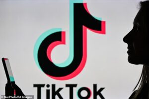 TikTok est devenu populaire en 2018 grâce à ses vidéos rapides, qui durent généralement environ 15 secondes.  L'inquiétude grandit maintenant quant au fait qu'ils nuisent à la capacité de concentration des enfants (photo d'archive)