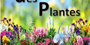 Fête des Plantes 2022 de Lignac (36) - 2022 - LIGNAC