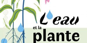 L'eau et la plante - colloque scientifique de la SNHF (75) - 2022 - Paris