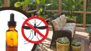 18 méthodes pour éloigner les moustiques de votre terrasse