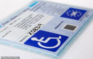 Ceux qui ont besoin d'un accès en fauteuil roulant peuvent réserver l'un des quelques sièges accessibles avant leur voyage.  Mais les personnes handicapées qui n'utilisent pas de fauteuil roulant ne peuvent pas emboîter le pas.  (Photo : carte de stationnement pour personnes handicapées avec badge bleu)