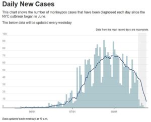 NEW YORK CITY: Ci-dessus, les cas de monkeypox repérés à New York de jour.  La zone grise (à droite) indique la zone qui a encore des cas ajoutés, car il faut souvent plusieurs jours pour qu'un test de monkeypox soit traité et que le résultat soit révélé.  Le chiffre suggère que l'épidémie de la ville commence à ralentir