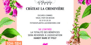 Fête des Plantes au Château la Chenevière (14) - 2022 - Port-en-Bessin
