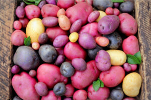 Pommes de terre violettes : belles et savoureuses avec une saveur unique