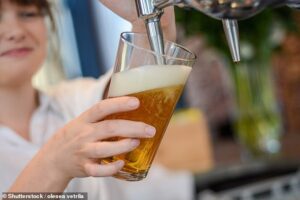 Des chercheurs australiens, qui ont étudié les habitudes de consommation d'alcool et les taux de démence chez 25 000 personnes de plus de 60 ans, ont découvert que deux pintes par jour réduisaient d'un tiers le risque de trouble de la mémoire.