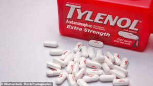 Les femmes qui prennent des analgésiques comme Tylenol pendant leur grossesse sont plus susceptibles d'avoir des enfants, selon une étude (image de fichier)