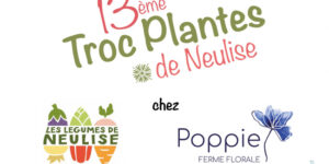 13ème troc plantes de Neulise (42) - 2022 - Neulise