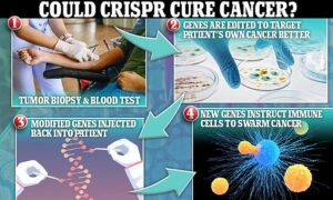 Les scientifiques ont isolé les gènes des récepteurs des cellules immunitaires directement à partir du sang de 16 patients atteints de différentes tumeurs, puis, en utilisant l'édition de gènes CRISPR pour concevoir ces gènes isolés afin de cibler les mutations des cellules cancéreuses, les ont réinsérés dans les propres cellules immunitaires des patients avec la capacité de reconnaître et attaquent le propre cancer du patient.