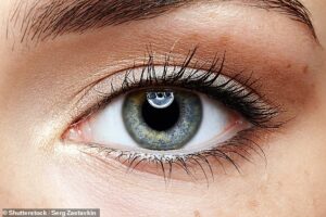 Les scientifiques utilisent l'impression 3D et les cellules souches des patients pour aider des millions de personnes souffrant de problèmes oculaires