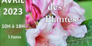 Fête des plantes Arboretum de Balaine (03) - 2023 - Villeneuve sur Allier
