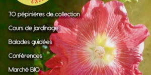 Fête des plantes et de la botanique de Sérignan-du-Comtat (84) - 2023 - Sérignan du Comtat
